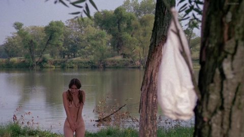 Monica Gayle - Sexy Scenes in Nashville Girl (1976)